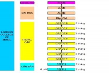 Những chương trình luyện thi LCM